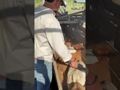 PT290 LF считыватель наушников для скота с помощью RFID