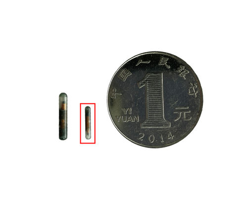 Одноразовый шприц с микрочипом для идентификации животных для здоровья и благополучия животных со стерильным бумажно-пластиковым упаковочным пакетом