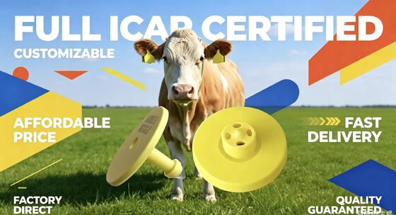 Полностью сертифицированные ICAR долговечные электронные ушные ярлыки FDX-B для отслеживания и идентификации скота, поддерживающие мониторинг скота и отслеживание фермы