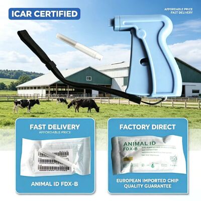 ICAR Certificate ISO Transponder Microchip предназначен для беспроводной связи и долговечной работы в автомобильных и охранных системах