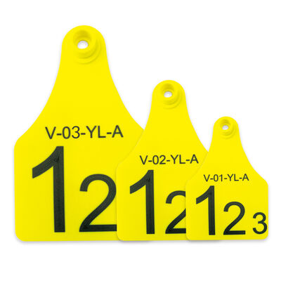 FOFIA Cow TPU Visual Yellow Livestock Connect Ear Tag T921 Модель для ушей скота