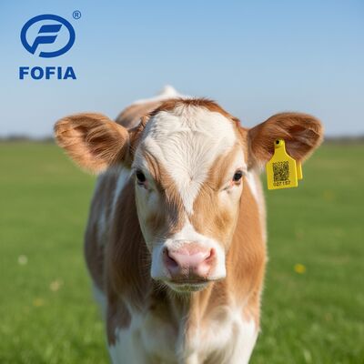 Новый T921 Animal Ear Tag Желтый высококачественный RFID TPU для использования в животноводстве