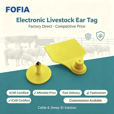 TPU Fofia ICAR T904 Ушная метка для скота для крупного рогатого скота для овец для свиней для коров и коз