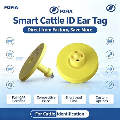 Полный ICAR ET908 + T901 Водонепроницаемые RFID LF ТПУ Желтые ушные бирки для животных 14,5 мм EM4305 Чипы 5 лет гарантии Крупный рогатый скот Fofia