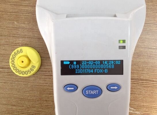 Прочный ручной RFID-считыватель FOFIA PT580 125кГц/134.2кГц ISO11784/5 OLED-экран 128x32 Дальность считывания 10-20м USB/для животных