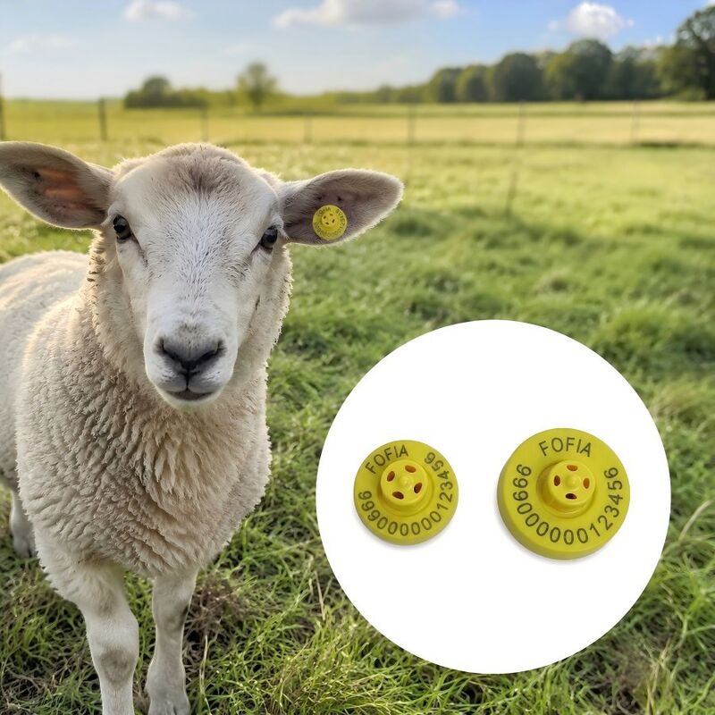 Laser Printing Electronic Ear Tags with FDX-B Compliance Standards Ensuring Identification and Livestock Data Management