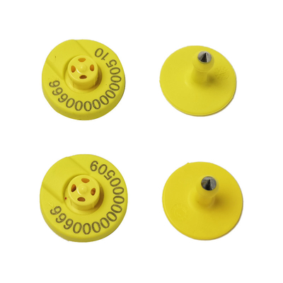 КРС Электронный ушной тег КРС КРС КРС КРС КРС КРС КРС КРС КРС КРС КРС КРС КРС КРС КРС КРС КРС КРС КРС КРС КРС КРС КРС КРС КРС КРС КРС КРС КРС КРС КРС КРС КРС КРС КРС КРС КРС КРС КРС КРС КРС КРС КРС КРС КРС КРС КРС КРС КРС КРС КРС КРС КРС КРС КРС КРС КРС КРС КРС КРС КРС КРС КРС КРС КРС КРС КРС КРС КРС КРС КРС КРС КРС КРС КРС КРС КРС КРС КРС КРС КРС КР